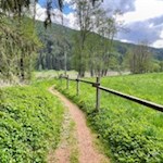 Leichte Wanderung bei Sterzing von Gasteig nach Stange