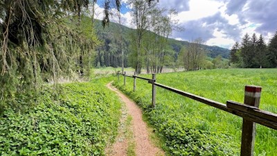 Leichte Wanderung bei Sterzing von Gasteig nach Stange