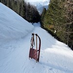 Rodelspaß im Ahrntal