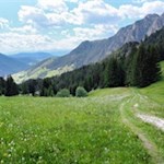 Durch malerische Almwiesen zur Plafötsch Alm