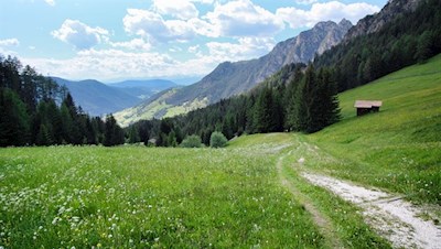 Durch malerische Almwiesen zur Plafötsch Alm