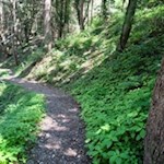 Auf dem Weg Nr. 11 nach Mühlbach