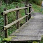 Auf sicheren Bretterstegen durch das Biotop