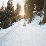 Sonnenuntergangsstimmung auf der Rosskopf Rodelbahn
