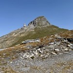 Der pyramidenförmige Wolfendorn