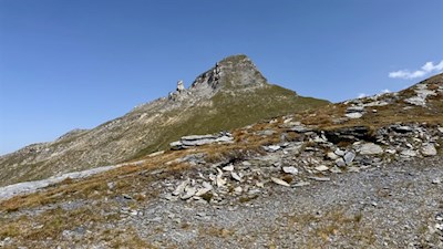 Der pyramidenförmige Wolfendorn