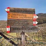 Die Wanderung ins Frühlingstal ist gut ausgeschildert