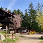 Gasthaus Völser Weiher