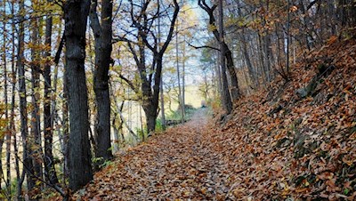 Durch das raschelnde Herbstlaub auf den Ritten