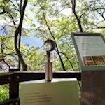 Ausblick auf die Pfarrkirche Maria Himmelfahrt