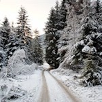 Durch den winterlich verschneiten Wald zum Aufhofener Kreuz
