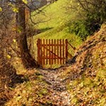 Autumn hike on the Sunnseitnweg in val di Funes vlley