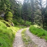 Durch den lauschigen Wald zur Seurasas-Hütte