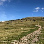 Sanft zieht sich der Wanderweg zum Latzfonser Kreuz