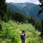 Wer möchte, kann auch auf dem Waldsteig zur Spisser Alm wandern