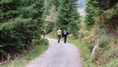 Im gemütlichen Anstieg zur Bodenalm 
