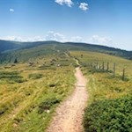 Durch die offenen Bergweiden auf das Kreuzjoch