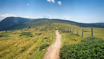 Durch die offenen Bergweiden auf das Kreuzjoch