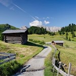 Durch malerische Almwiesen zur Plattkofelhütte