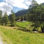 Die idyllische Lercheralm wird von hohen Nadelbäumen umsäumt