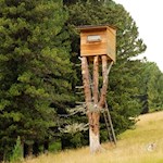Unterhalb des Hochstands gelangt man auf den Weg Nr. 8