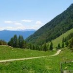 Sanft steigt der anfangs breite Weg durch die Almwiesen an