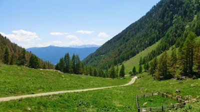 Sanft steigt der anfangs breite Weg durch die Almwiesen an