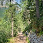 Auf dem Weg Nr. 51 zurück zur Talstation Falzeben