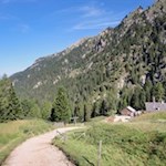 Von der Kaserill Alm kann man zur Gampenalm oder auf den Zendleser Kofel weiterwandern