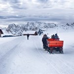 Ab und an traben nostalgische Kutschen an uns vorbei