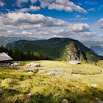 Inmitten-einer-Lichtung-liegt-die-Zirmaitalm