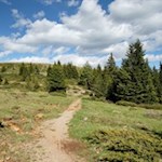 Den Waldsaum entlang zu den Stoanernen Mandln