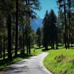 Im Innerfeldtal gedeiht eine üppige Vielfalt z. T. sehr seltener Pflanzen