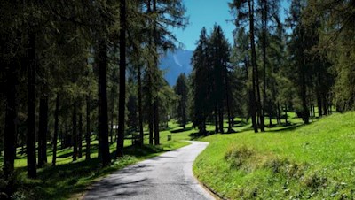 Im Innerfeldtal gedeiht eine üppige Vielfalt z. T. sehr seltener Pflanzen