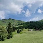 Die Freundalm ist in eine bezaubernde Almlandschaft gebettet