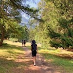 Wandern zur Tarscher Alm