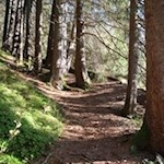 Durch den lichten Tann zur Knappenkirche St. Magdalena
