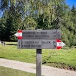 Sulla via del ritorno, seguiamo prima il sentiero n. 15 in direzione Monte San Pietro