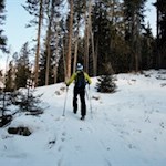 Allmählich lichtet sich der Wald...