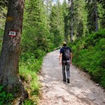 Durch den Wald zur Heinzen Alm