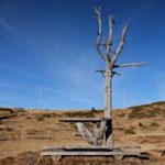 Aussichtspunkt Engelrast