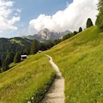 Durch malerische Bergwiesen zur Regensburger Hütte