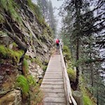 Der Panoramaweg ist mit Holzplanken und Seilen gesichert