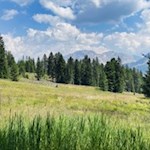 Torbiera della malga d'Ora