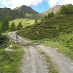 Hinter der Waldgrenze dehnen sich grüne Weidewiesen aus