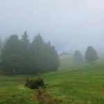 Verträumte frühmorgendliche Almlandschaft