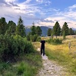 Durch latschenbewachsene Almwiesen zur Rinderplatz Hütte
