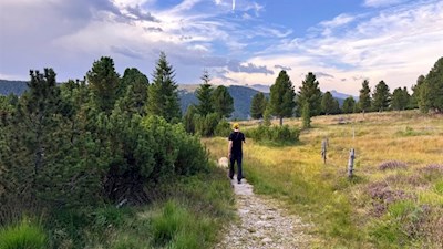 Durch latschenbewachsene Almwiesen zur Rinderplatz Hütte