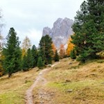 Sanft windet sich der Weg zur Brogleshütte