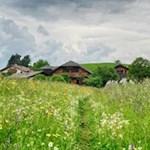 Durch ein leuchtendes Blumenmeer nach St. Valentin